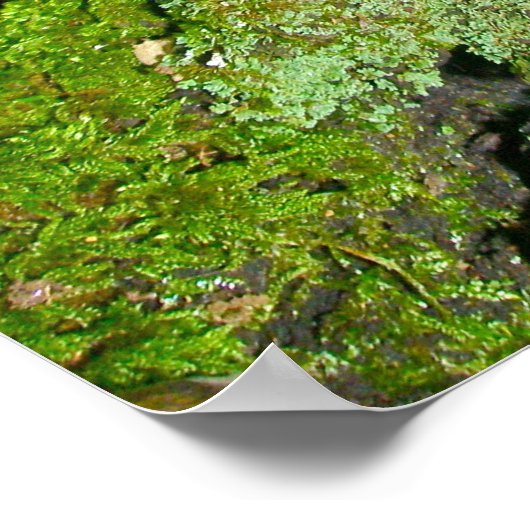 Poster Champignons violets sur l'affiche du journal de Mo (Coin)