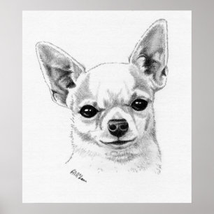 Poster Champion du Chihuahua