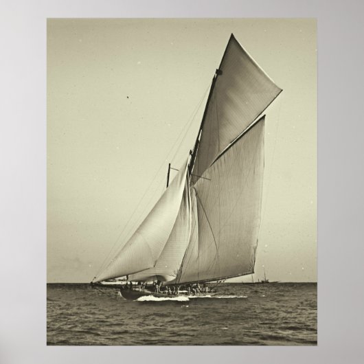 Poster Championnat d'Amérique de Shamrock de yacht 1899 (Devant)