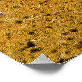 Poster Championne de course Motocross Dirt-Bike Gros plan (Coin)