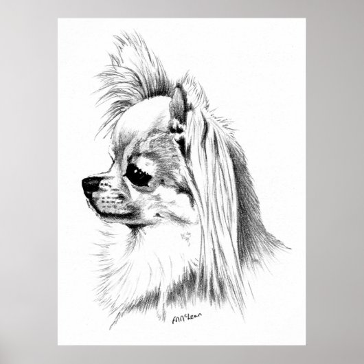 Poster Championne du Longcoat Chihuahua (Devant)