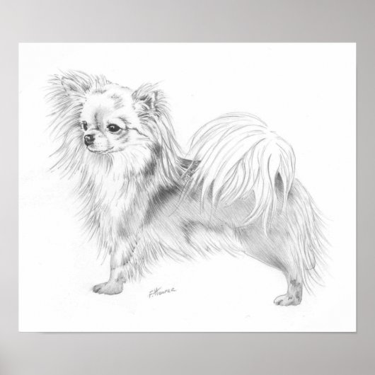 Poster Championne du Longcoat Chihuahua (Devant)