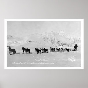 Poster Champions de traîneau à chiens Alaska 1910