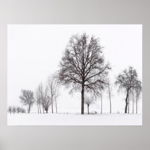 Poster Champs autour de Scalenghe   Piémont, Italie