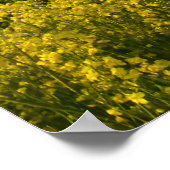 Poster Champs de colza encerclent la forêt - Personnalisé (Coin)