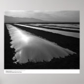 Poster Champs de fraises avec couvertures de fumigation p (Devant)