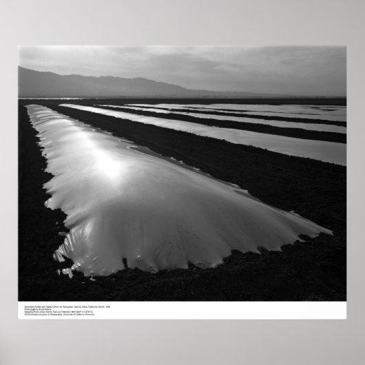 Poster Champs de fraises avec couvertures de fumigation p (Devant)