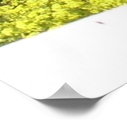 Poster Champs de moutarde du verger (Coin)