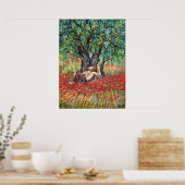 POSTER CHAMPS DE PAN, D'OLIVE ET DE POPPY (Cuisine)