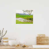 POSTER "CHAMPS DE TARO SUR LA ROUTE DE HANALEI" (Cuisine)