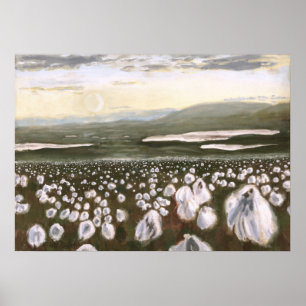 Poster Champs d'impression de coton arctique