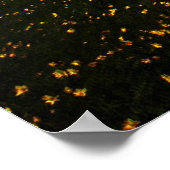 Poster Champs jaunes (Coin)