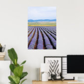 Poster Champs Lavendar (Bureau à domicile)