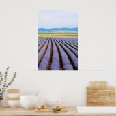 Poster Champs Lavendar (Cuisine)