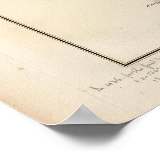 Poster Champs Phlegreens (Coin)