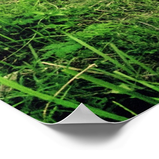 Poster Champs Trowulan (Coin)