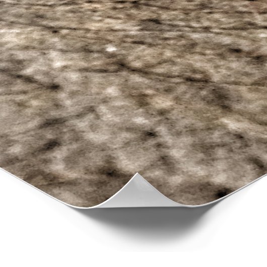 POSTER CHANG MAI ELEPHANT EYE (Coin)