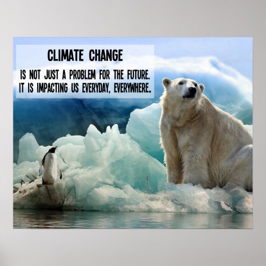 Poster Changement climatique avec le pingouin et l'ours p (Devant)