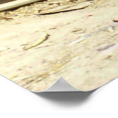 POSTER CHANGER! (Coin)