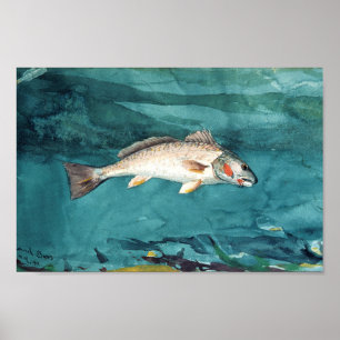 Poster Channel Bass Peinture américaine par Homer