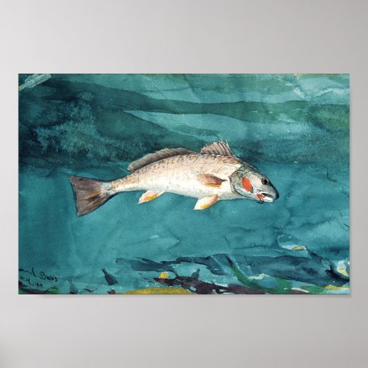 Poster Channel Bass Peinture américaine par Homer (Devant)