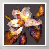 Poster Chanson de fleurs (Devant)