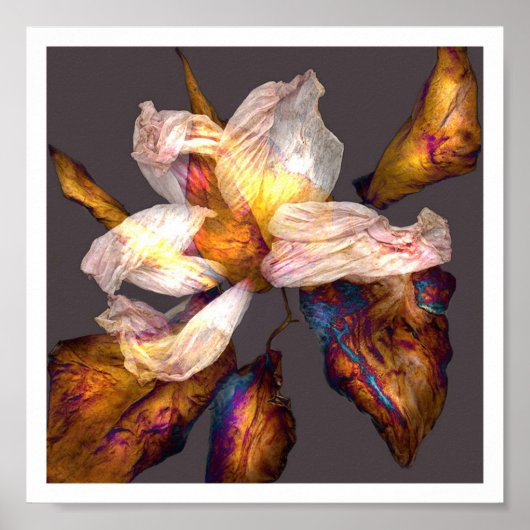 Poster Chanson de fleurs (Devant)