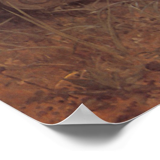 Poster Chanson de l'affiche de l'ange (Coin)