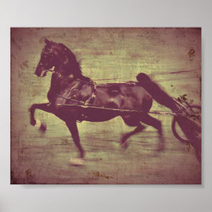 Poster Chanson de Saddlebred