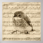 Poster Chansons d'oiseaux (Devant)