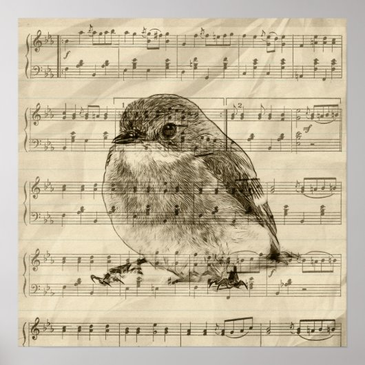 Poster Chansons d'oiseaux (Devant)