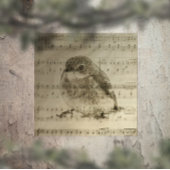 Poster Chansons d'oiseaux