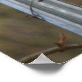 Poster Chanter Blackbird Print (Coin)