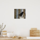Poster Chanter Blackbird Print (Cuisine)