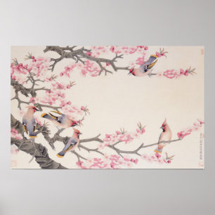 Poster Chanter des oiseaux au printemps