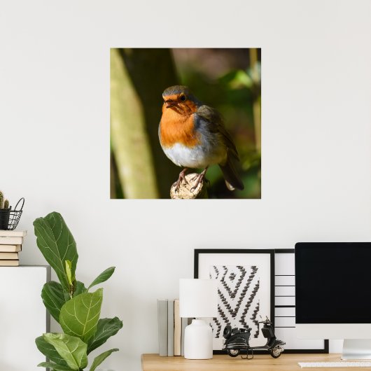 Poster Chanter Robin (Bureau à domicile)