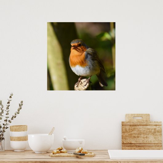 Poster Chanter Robin (Cuisine)