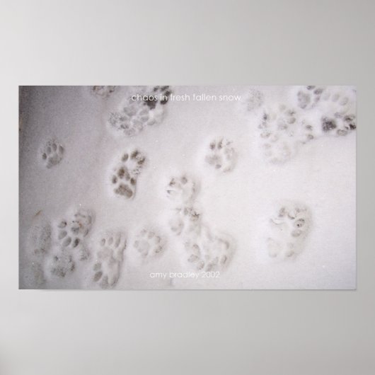 Poster chaos dans la neige fraîche tombée (Devant)