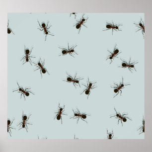 Poster Chaotique Red Ants Motif élégant