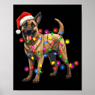 Poster Chapeau de Noël de Santa pour chien Malinois belge