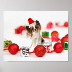 Poster Chapeau de Santa de Noël de chien Papillon mignon