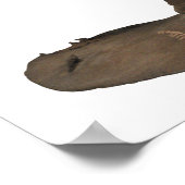 Poster Chapeau magique de Harry Potter | Chapeau qui répa (Coin)