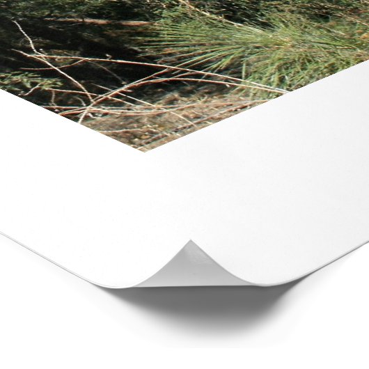 Poster Chapelle de la Sainte Croix (Coin)