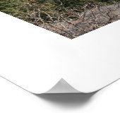 Poster Chapelle de la Sainte Croix (Coin)