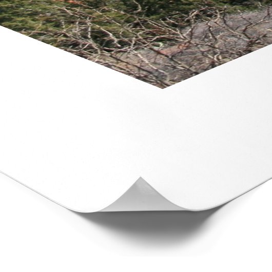 Poster Chapelle de la Sainte Croix (Coin)