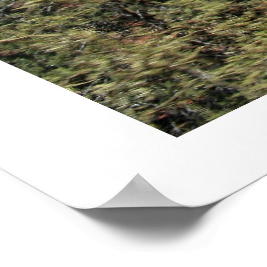 Poster Chapelle de la Sainte Croix (Coin)