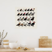 Poster Chaque vautour (Cuisine)