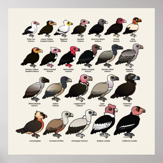 Poster Chaque vautour (Devant)