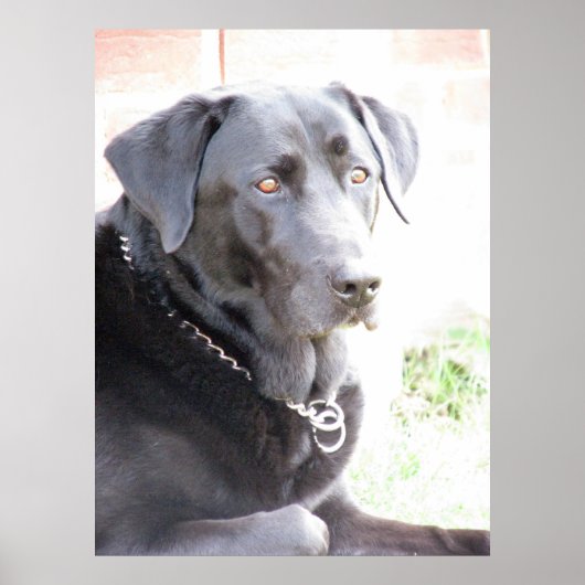 Poster Charbon (Devant)