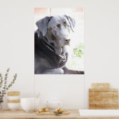 Poster Charbon (Cuisine)